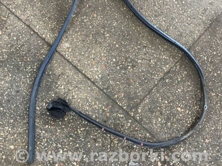 ФОТО Уплотнительная резинка задняя правая для Subaru Forester SG S11 (02-08) Київ