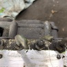 ФОТО Блок ABS для Subaru Forester SG S11 (02-08) Київ