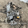 ФОТО Двигатель для Subaru Forester SG S11 (02-08) Київ