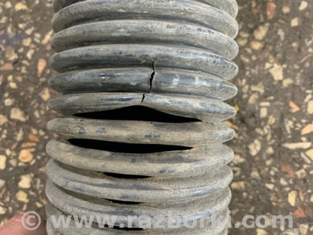 ФОТО Опора пружины задняя левая для Subaru Forester SG S11 (02-08) Київ