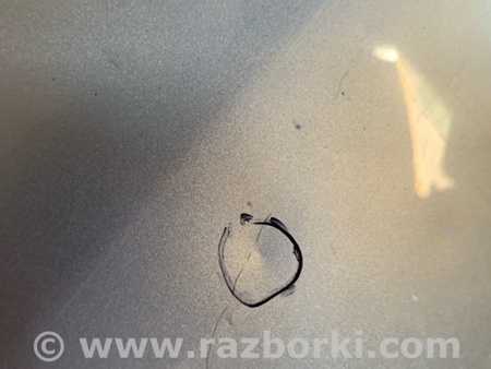 ФОТО Дверь задняя левая для Subaru Forester SG S11 (02-08) Київ