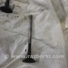 Клапан выпускной Audi (Ауди) A3 III 8V (12-20)