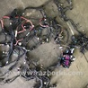 ФОТО Проводка салона для Audi (Ауди) A5 F5 B9 (16-24) Київ