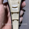 ФОТО Пластик для Audi (Ауди) A6 C7 4G (11-18) Київ