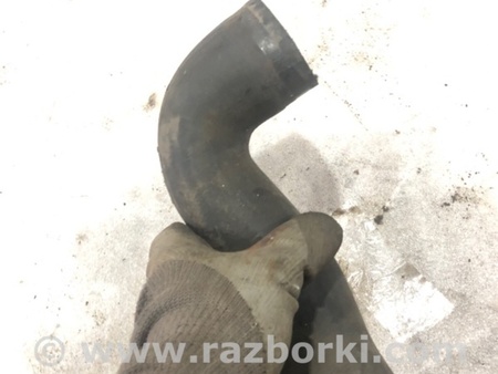 ФОТО Патрубок системы охлаждения для Audi (Ауди) A3 III 8V (12-20) Київ