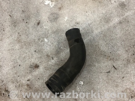 ФОТО Патрубок системы охлаждения для Audi (Ауди) A3 III 8V (12-20) Київ
