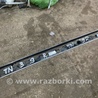 ФОТО Молдинг крыши для Audi (Ауди) A8 III D4 4H (09-17) Київ