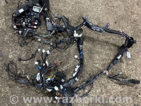 ФОТО Электропроводка для Subaru Legacy VII BW (19-25) Київ