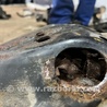 ФОТО Подрамник для Ford Explorer V U502 (10-19) Київ