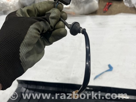 ФОТО Кнопка для Subaru Legacy VII BW (19-25) Київ