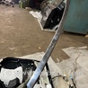 ФОТО Молдинг двери для Subaru Legacy VII BW (19-25) Київ