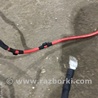 ФОТО Электропроводка для Audi (Ауди) A4 V B9 - 8W (2015-) Київ