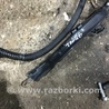 ФОТО Электропроводка для Audi (Ауди) A4 V B9 - 8W (2015-) Київ