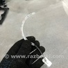 ФОТО Планка подсветки для Audi (Ауди) A4 V B9 - 8W (2015-) Київ