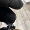 ФОТО Блок управления для Land Rover Range Rover IV L405 (12-21) Київ