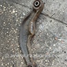Рычаг задний правый Subaru Outback III BP/BL (03-09)