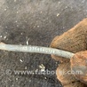 ФОТО Датчик abs задний правый для Subaru Outback III BP/BL (03-09) Київ