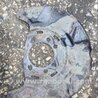 ФОТО Тормозной щиток передний левый для Subaru Outback III BP/BL (03-09) Київ