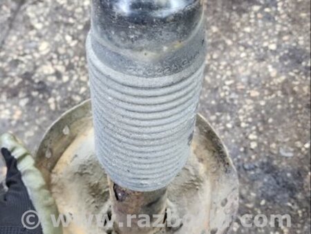 ФОТО Амортизатор передний правый для Subaru Outback III BP/BL (03-09) Київ