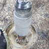 ФОТО Амортизатор передний правый для Subaru Outback III BP/BL (03-09) Київ