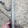 ФОТО Стоп-сигнал задний для Subaru Outback III BP/BL (03-09) Київ
