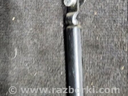 ФОТО Амортизатор багажника левый для Subaru Outback III BP/BL (03-09) Київ