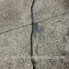 Упор капота Subaru Outback III BP/BL (03-09)