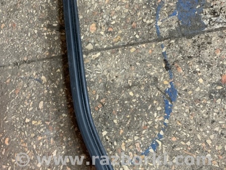 ФОТО Уплотнительная резинка для Subaru Outback III BP/BL (03-09) Київ