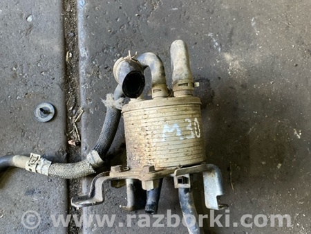 ФОТО Радиатор масляный для Subaru Outback III BP/BL (03-09) Київ