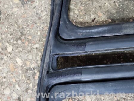 ФОТО Уплотнительная резинка правая для Subaru Outback III BP/BL (03-09) Київ