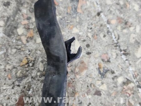 ФОТО Уплотнительная резинка для Subaru Outback III BP/BL (03-09) Київ