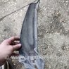 ФОТО Брызговик передний левый для Subaru Outback III BP/BL (03-09) Київ