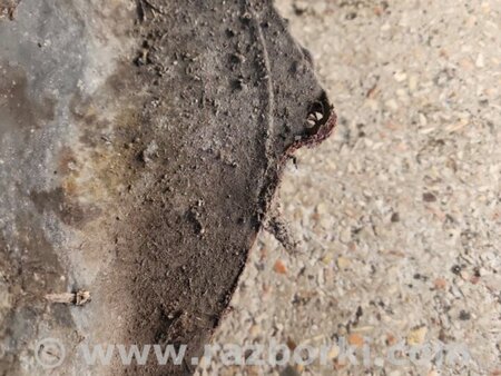 ФОТО Бензобак для Subaru Outback III BP/BL (03-09) Київ