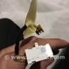 ФОТО Плафон подсветки салона для Audi (Ауди) A5 F5 B9 (16-24) Київ