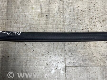 ФОТО Уплотнитель стекла двери для Audi (Ауди) A3 III 8V (12-20) Київ