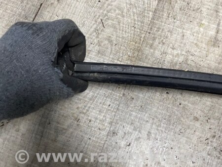 ФОТО Уплотнитель стекла двери для Audi (Ауди) A3 III 8V (12-20) Київ