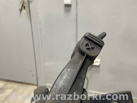 ФОТО Молдинг двери для Audi (Ауди) A3 III 8V (12-20) Київ