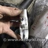 ФОТО Электропроводка для Audi (Ауди) A3 III 8V (12-20) Київ