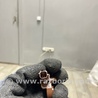 ФОТО Датчик для Land Rover Range Rover IV L405 (12-21) Київ