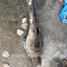 ФОТО Рычаг подвески для Audi (Ауди) A3 III 8V (12-20) Київ