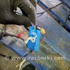 ФОТО Проводка двери для Audi (Ауди) Q3 II F3 (18-25) Київ