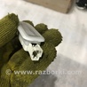 ФОТО Плафон подсветки салона для Audi (Ауди) A4 V B9 - 8W (2015-) Київ