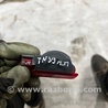 ФОТО Плафон подсветки салона для Audi (Ауди) A8 III D4 4H (09-17) Київ