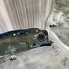 ФОТО Кронштейн для Subaru Crosstrek 3 GU (2022-) Київ