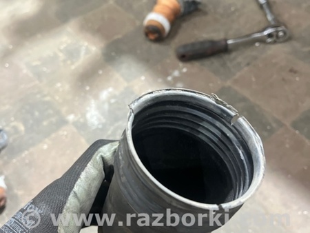 ФОТО Пыльник амортизатора для Volkswagen Atlas/Teramont I +1 рест (17-23) Київ