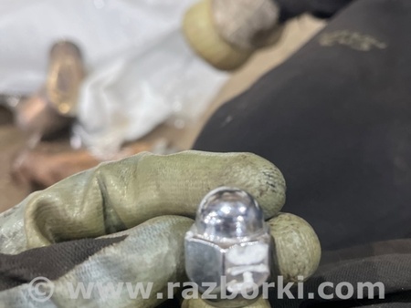 ФОТО Гайка колесная для Subaru Legacy VII BW (19-25) Київ