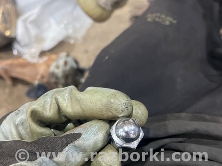ФОТО Гайка колесная для Subaru Legacy VII BW (19-25) Київ