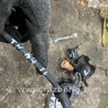 ФОТО Шланг тормозной для Audi (Ауди) A3 III 8V (12-20) Київ