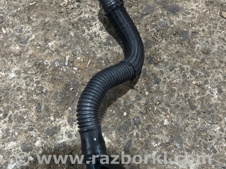 ФОТО Патрубок для Audi (Ауди) A3 III 8V (12-20) Київ