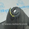 ФОТО Защита для Ford Escape 3 (01.2012-12.2018) Одеса